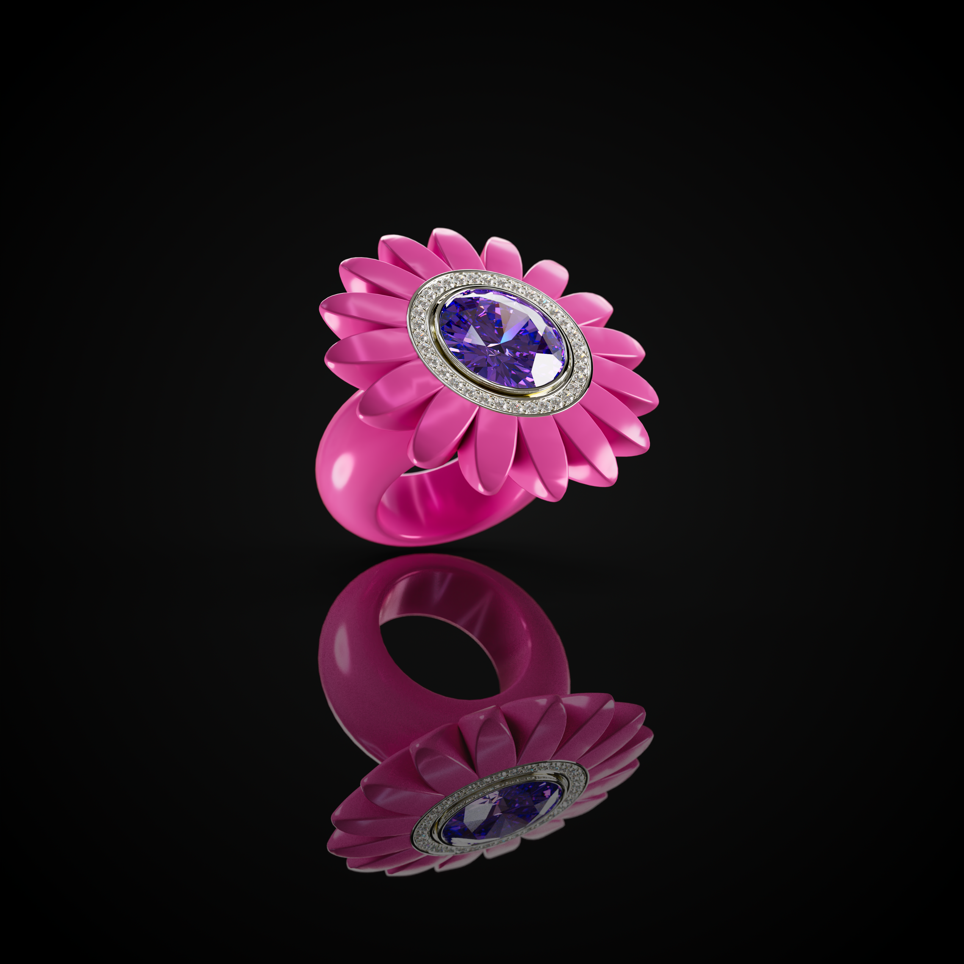 The Barberton Daisy